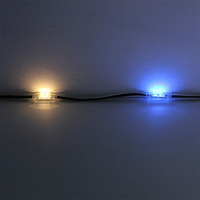 Guirlandes lumineuses LED RGBW en plastique 48V IP68 durables pour éclairage ponctuel extérieur et décoration paysagère