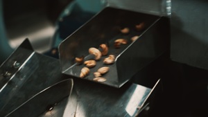 Ligne de décorticage de noix de cajou, type 4, 10 lames, capacité 1400-1600 kg/h, machines de transformation de noix de cajou entièrement automatiques - Product Image 6