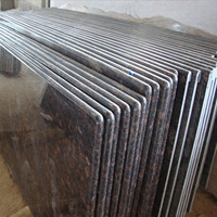 Dalles de granit de qualité supérieure pour comptoirs de cuisine et revêtements de sol, surface naturelle polie, durable, moderne, couleur personnalisable, extérieur