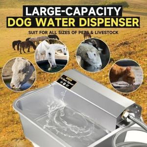 <span class=keywords><strong>Distributeur</strong></span> d'<span class=keywords><strong>eau</strong></span> automatique en acier inoxydable 304, abreuvoir pour petits et grands animaux, pour bovins, moutons, porcs - Product Image 5