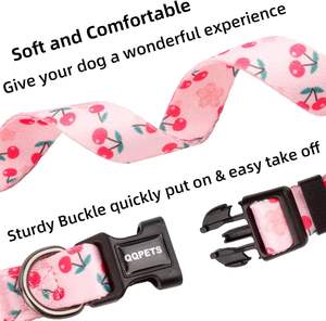 QQPETS Verstellbares Hunde halsband Niedlich Rosa Mehrfarbiger Blumen druck XS Klein Mittel Groß Haustier Welpe Gehen Laufen Laufen Polyester Band - Product Image 3