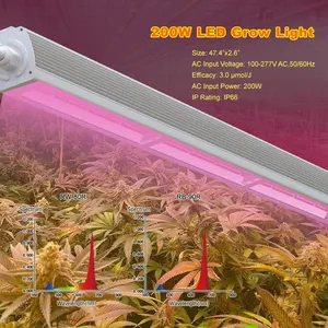 Une barre de 200W Dimmable Lm301h Lm301B à spectre complet lampe de croissance de plantes Led d'intérieur barre de bande LED