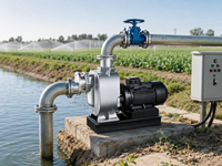 Pompe centrifuge auto-amorçante haute pression 2HP à couplage direct 1,5 pouce pour l'irrigation agricole et l'alimentation en eau domestique