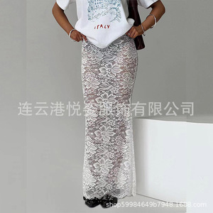 Hot-selling European and American style sexy <b>lace</b> see-through long dress for cross-border e-commerce, source factory wholesale - Product Image 1