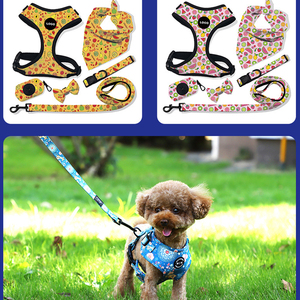 Famicheer Vente en gros Petit harnais Ensemble chien Produit pour animaux de compagnie de haute qualité Harnais et laisse pour chien - Product Image 2
