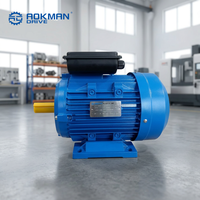 Moteur AC monophasé haute efficacité 1HP 2HP, personnalisation OEM disponible