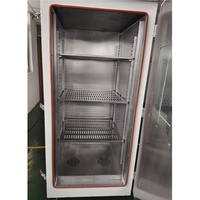Séchoir électrique de laboratoire en acier inoxydable personnalisable incubateur à température constante boîte de séchage supportée par l'OEM