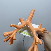 Modelo de Práctica de Endoscopia Flexible Personalizado, Color Carne, Simulación 3D de Modelo Bronquial Flexible