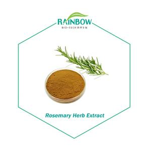 Yüksek kaliteli biberiye özü 10% 20% 30% 50% 60% Carnosic asit - Product Image 1