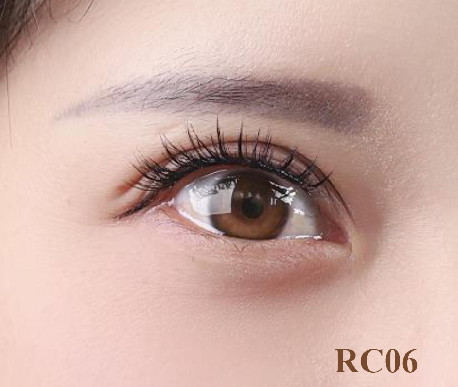 RC06.1