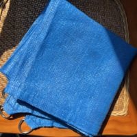 Voile d'ombrage bleue tissée avec anneaux en D, ourlet renforcé, toile maillée pour patio, jardin, abri de voiture, piscine, auvent extérieur