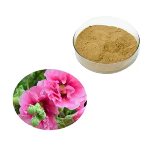 中国优质红花粉蜀葵提取物红花提取物