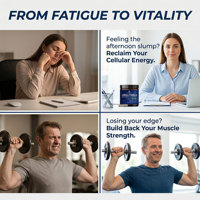 Capsules d'Urolithine A Qbioflex, pureté 99,9 %, directement de l'usine, pour l'énergie cellulaire et la force musculaire, complément alimentaire pour adultes