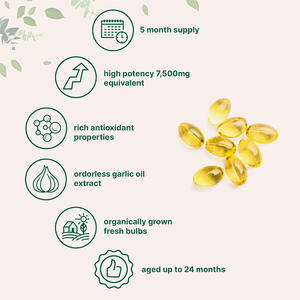 Cápsulas de Aceite de Extracto de Ajo Más Vendidas al por Mayor, Suplementos Herbales para Adultos, Apoyan la Salud Digestiva para Mujeres Embarazadas - Product Image 4