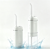 Eisler W8 Hydropulseur dentaire électrique sans fil professionnel portable pour le nettoyage des dents