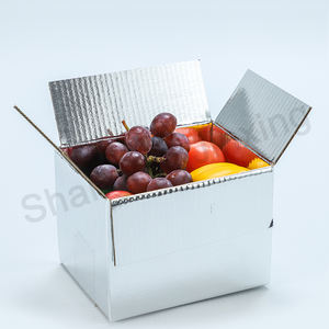 Dondurulmuş/soğuk gıda nakliye kutusu, yalıtımlı termo ambalaj deniz ürünleri için - Product Image 2