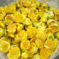 Bunga Kering Eksotis Camellia Petelotii Kuning Utuh, Dikeringkan Secara Alami, Buatan Tangan, Dapat Dimakan, Menerima OEM, Teh Khas Vietnam