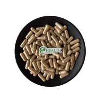 Poudre d'extrait de Pueraria de qualité alimentaire en vrac pour capsules et boissons, échantillon de racine fine, vente en gros pour usines de boissons