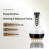 Brosse Électrique USB pour Méridiens, Instrument Gua Sha, Appareil Cinq Éléments pour Méridiens, Jambes et Corps Entier, Salon de Beauté