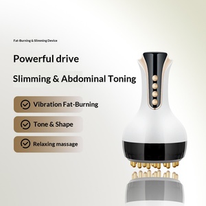 Cepillo Eléctrico Meridian, Masajeador Eléctrico de Cuerpo Completo, Dispositivo Gua Sha para la Salud, Gran Venta - Product Image 2