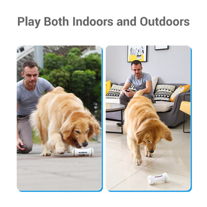 Jouets interactifs <span class=keywords><strong>pour</strong></span> chiens d'extérieur Cheerble, écologiques, modernes et élégants, en silicone et PC, <span class=keywords><strong>pour</strong></span> les grands chiens intelligents et lasseurs - Product Image 5