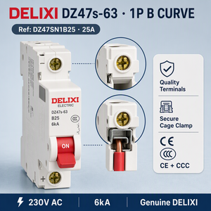Disjoncteur miniature DELIXI 63A courbe B, unipolaire, 230V, 6kA, certifié CE, en cuivre, pour rail DIN, sécurité électrique domestique - Product Image 1