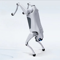 Jouet robot chien haute performance, doté de la connectivité 4G/WiFi, d'une fonction d'évitement d'obstacles et d'une fonctionnement stable.