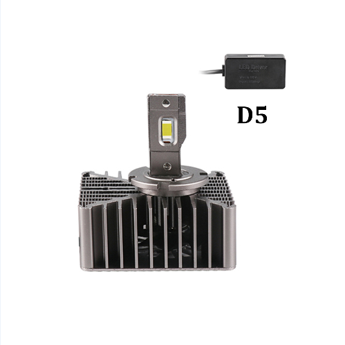D5S