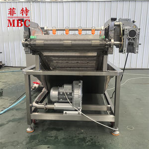 Ligne de Machine de nettoyage personnalisée en usine pour le traitement du lavage des bulles Machine de nettoyage des légumes/fruits/champignons - Product Image 4