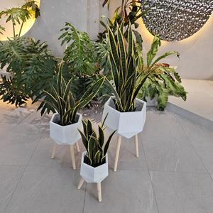 Pot de fleurs élégant et spacieux en fibre de verre écologique pour intérieur, avec pieds en bois, idéal pour la décoration de jardin. - Product Image 4