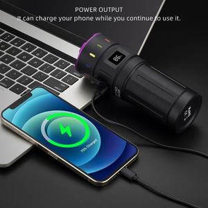 USB recargable 200W 10X LED 365nm <span class=keywords><strong>linterna</strong></span> UV de alta potencia Blacklight antorcha para mascota orina mancha escorpión dinero impermeable AA - Product Image 5