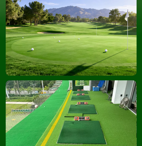 <span class=keywords><strong>Gazon</strong></span> artificiel pour terrains de sport et de golf, vente directe d'usine - <span class=keywords><strong>Gazon</strong></span> vert pour porte de golf - Product Image 6