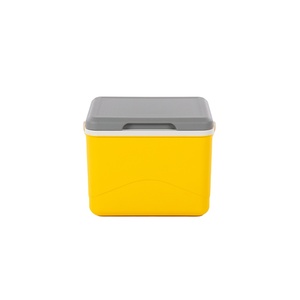 IceMaster Flexi 5L Logo personnalisé Intérieur moderne isolé en PP avec poignée Master Series Jaune 5L Camping Glacière pour camion - Product Image 1