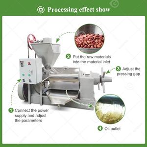 Mini Prensa Automática Africana 6YL-120 para Extracción de Aceite en Frío de Canola, Palma Roja, Nuez de Karité y Mostaza - Product Image 4