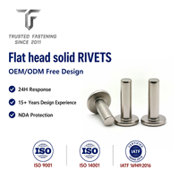 Rivets plats en métal sur mesure TianFang pour tôles OEM, finition personnalisée, tailles sur mesure avec support d'échantillonnage rapide