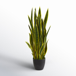 Venta caliente Artificial Tigre Orquídea Serpiente <span class=keywords><strong>Plantas</strong></span> Bonsai <span class=keywords><strong>Plantas</strong></span> para <span class=keywords><strong>Amazon</strong></span> Planta de decoración artificial - Product Image 4