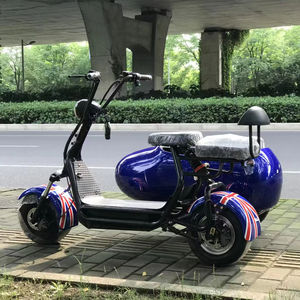 Motocicletas, Sidecars, Mini <span class=keywords><strong>Coches</strong></span> y Bicicletas Eléctricas para Adultos, Ideales para Viajes Tranquilos de Personas Mayores - Product Image 1