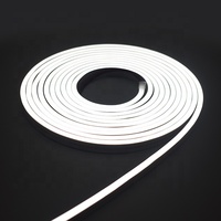 Ruban LED néon en silicone 0612mm 3000K 6000K pour aménagement paysager extérieur, étanche IP67, rouleau de lumière néon 9.6W 24V