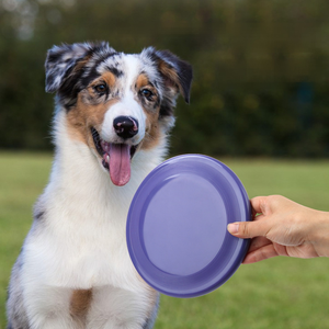 Hot Sale <b>Interactive</b> Movement Eco-Friendly Plastic Simple Ball <b>Pet</b> <b>Toy</b> Flying High Quality Bite-Assistance <b>for</b> Dogs Outdoor Play - Product Image 5