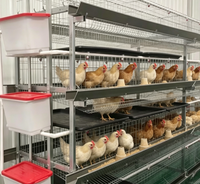Cage à poules pondeuses galvanisée de type H à 4 niveaux, 4 portes, en treillis métallique durable