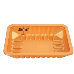 Customized wholesale disposable PP plastic rectangular tray food grade tray
