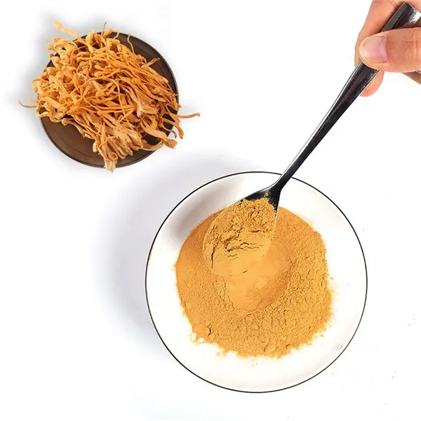 Hot Sale Well Made Liquid-solid Extraction Natural Food Grade Cordyceps Sinensis Powder