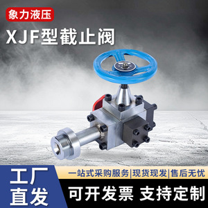Vanne de sécurité pour accumulateur hydraulique 31,5 Mpa, commande manuelle, acier au carbone, pour gaz à température normale - Product Image 3