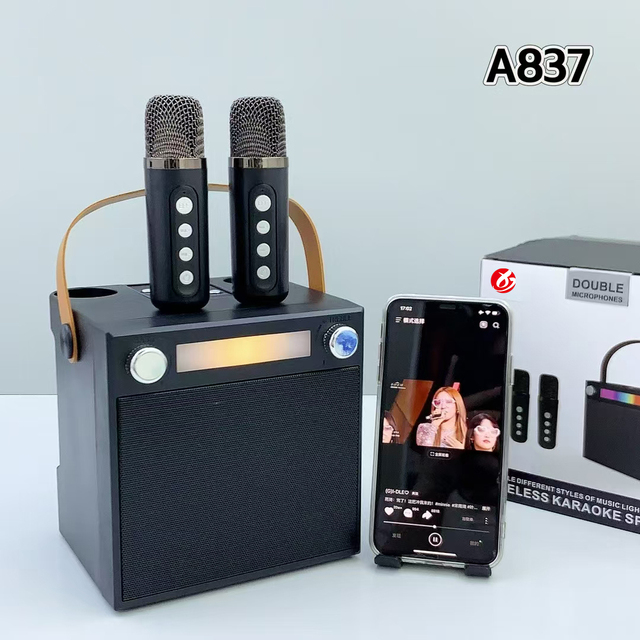 Portable Bluetooth Karaoke Speaker with 2 Wireless Mics RGB LED Rechargeable Ideal for Kids Parties Camping & Home Entertainment