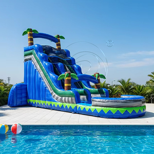 Toboggan aquatique gonflable de qualité commerciale pour adultes, toboggan aquatique gonflable en forme de palmier avec piscine, toboggans gonflables en PVC colorés - Product Image 1