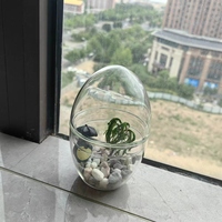 Seni Modern Deco transparan buatan tangan kaca borosilikat berbentuk peluru kubah terarium vas meja dipasang di dinding alam Mini