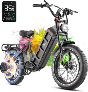 Bicicleta eléctrica de montaña eAhora Juliet con llantas gruesas de 20 pulgadas, 7 velocidades, motor en el buje trasero, freno de disco hidráulico, bicicleta todoterreno para adultos. - Product Image 1