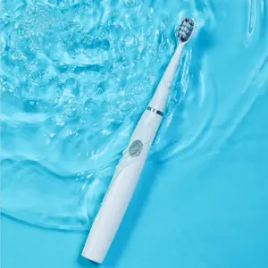 Hoge Kwaliteit Veranderlijk Hoofd Batterij Aangedreven Ultrasone Elektrische Tandenborstel