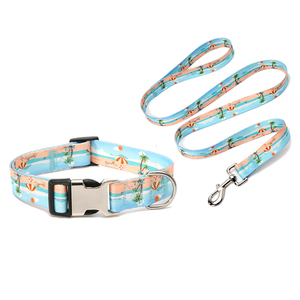 Collar para Perro con Logotipo Personalizado al por Mayor, Collar para Perro de Verano, Estilo Hawaiano, Mediano y Pequeño, Hebilla de Metal de Lujo, Conjunto de Collar y Correa para Perro - Product Image 1