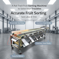 Fruit- en groentesorteermachine - Volledig automatische multifunctionele lychee-sorteermachine met 220V/380V voor commercieel gebruik
